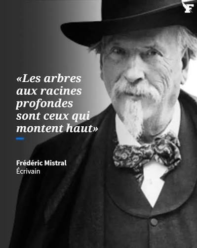 LIVESTRONG0210's tweet photo. Seul l'arbre qui a subi les assauts du vent est vraiment vigoureux, car c'est dans cette lutte que ses racines, mises à l'épreuve, se fortifient.Sénèque @Emmanuelle_Gve @BernardGontran @Epargne_UDE https://t.co/DelvqnX8Mg