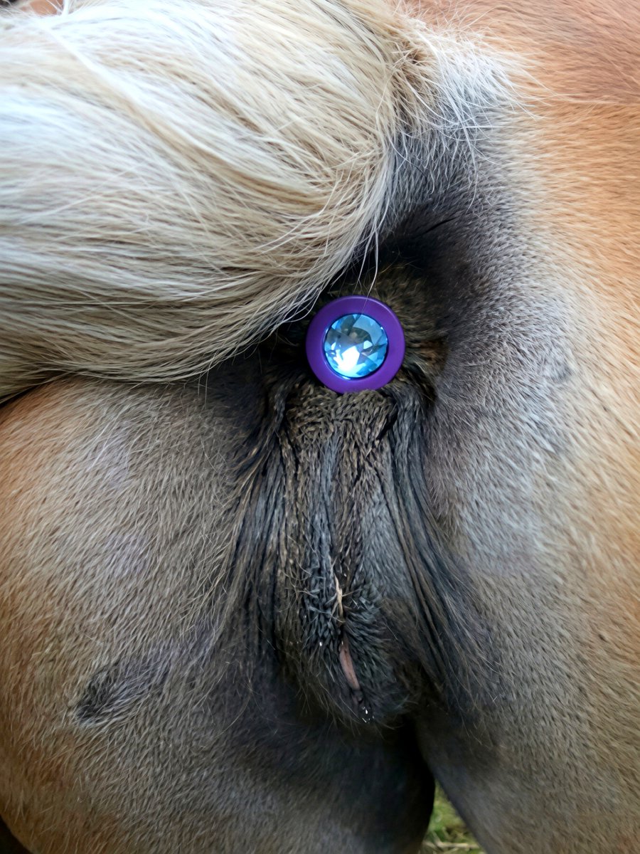 ColtXMare's tweet photo. A mare… and perhaps a little more than you expected. 🐎❤️ https://t.co/Udq02tXVCm