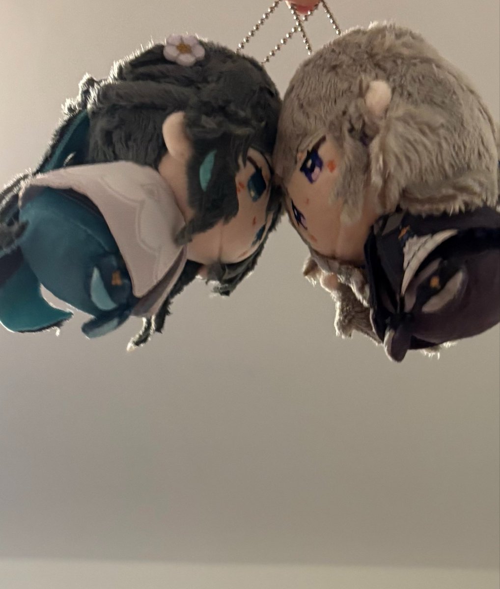 imagineTalking's tweet photo. they shed like dogs omfg https://t.co/VWrg1rlhQv