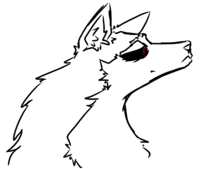 winter7797's tweet photo. Septiembre jajajaj
#furry https://t.co/KUc8Yubc0A
