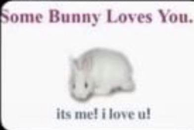 SlittedSeraph's tweet photo. I love getting new moots like yes hello you all are so cool but wait… 

WHAT IF WE HAD MORE COOL PEOPLE?（๑ ᷇ 𖥦 ᷆๑)♡ #moothunt #promotwt #moots https://t.co/jUNXBnMIFf