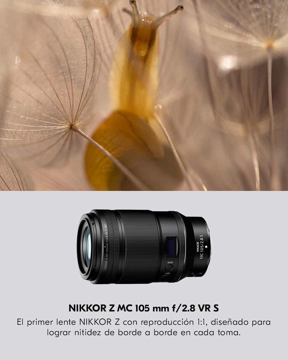 NikonMX's tweet photo. Hay todo un mundo de detalles esperando ser descubierto. 🔎📸 Acércate, observa y encuentra nuevas historias en lo que suele pasar desapercibido.
Conoce distintos lentes NIKKOR para explorar la fotografía macro desde nuevas perspectivas.
#NikonMx #NIKKOR https://t.co/aBDfkUBShG
