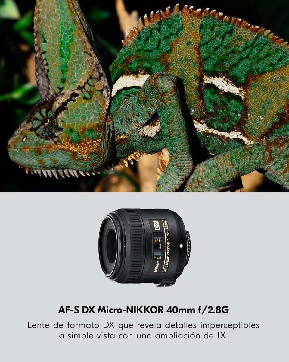 NikonMX's tweet photo. Hay todo un mundo de detalles esperando ser descubierto. 🔎📸 Acércate, observa y encuentra nuevas historias en lo que suele pasar desapercibido.
Conoce distintos lentes NIKKOR para explorar la fotografía macro desde nuevas perspectivas.
#NikonMx #NIKKOR https://t.co/aBDfkUBShG