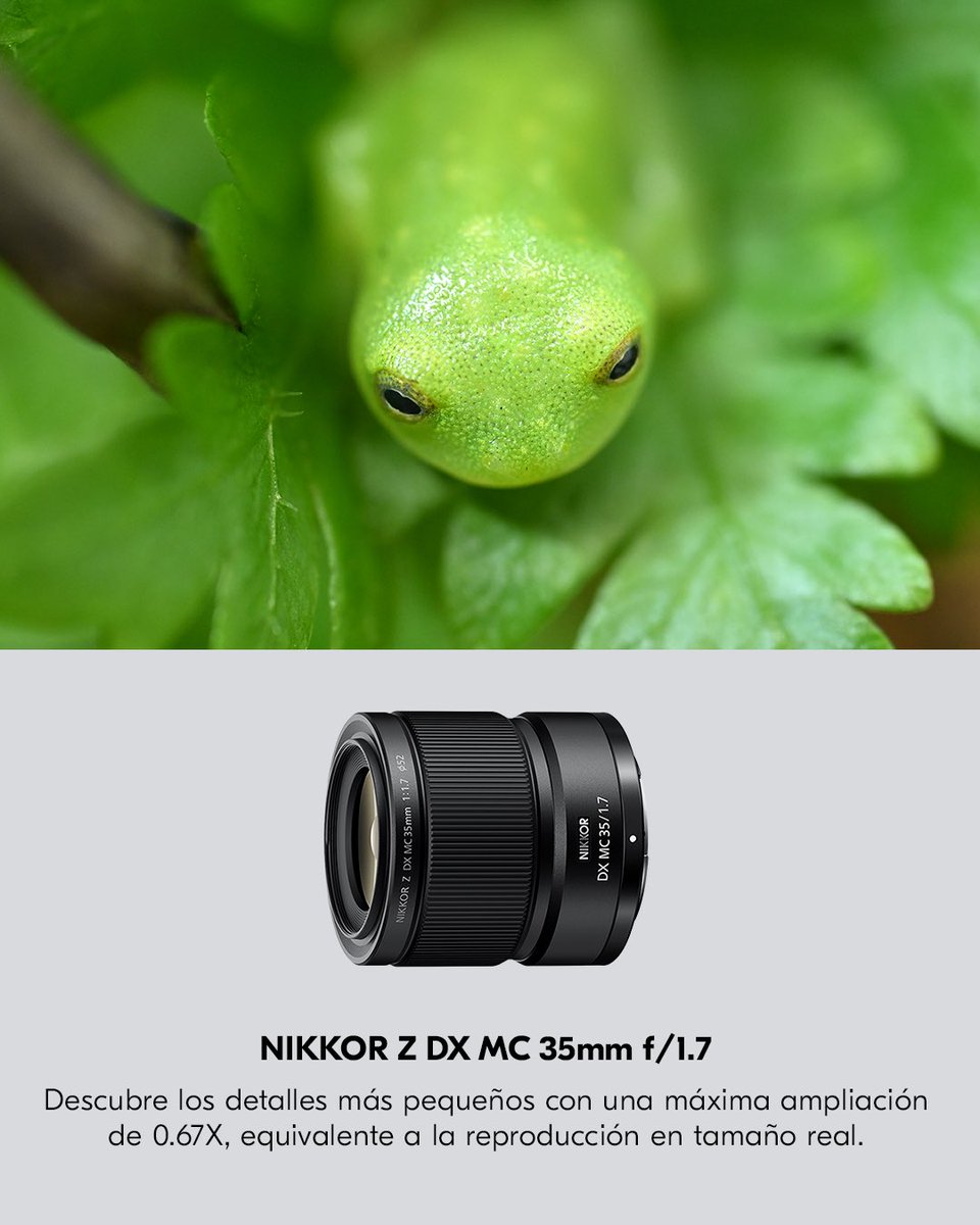 NikonMX's tweet photo. Hay todo un mundo de detalles esperando ser descubierto. 🔎📸 Acércate, observa y encuentra nuevas historias en lo que suele pasar desapercibido.
Conoce distintos lentes NIKKOR para explorar la fotografía macro desde nuevas perspectivas.
#NikonMx #NIKKOR https://t.co/aBDfkUBShG