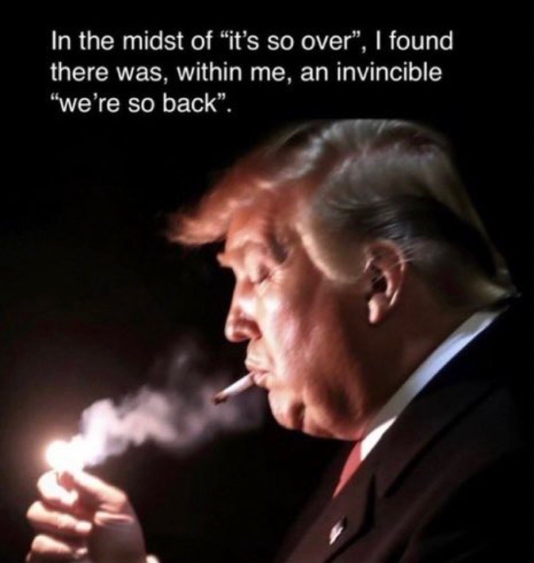 CrimeDJT's tweet photo. In the midst of "it's so over", I found there was, within me, an invincible "we're so back".

$CRIME https://t.co/NvAk84X4Nn