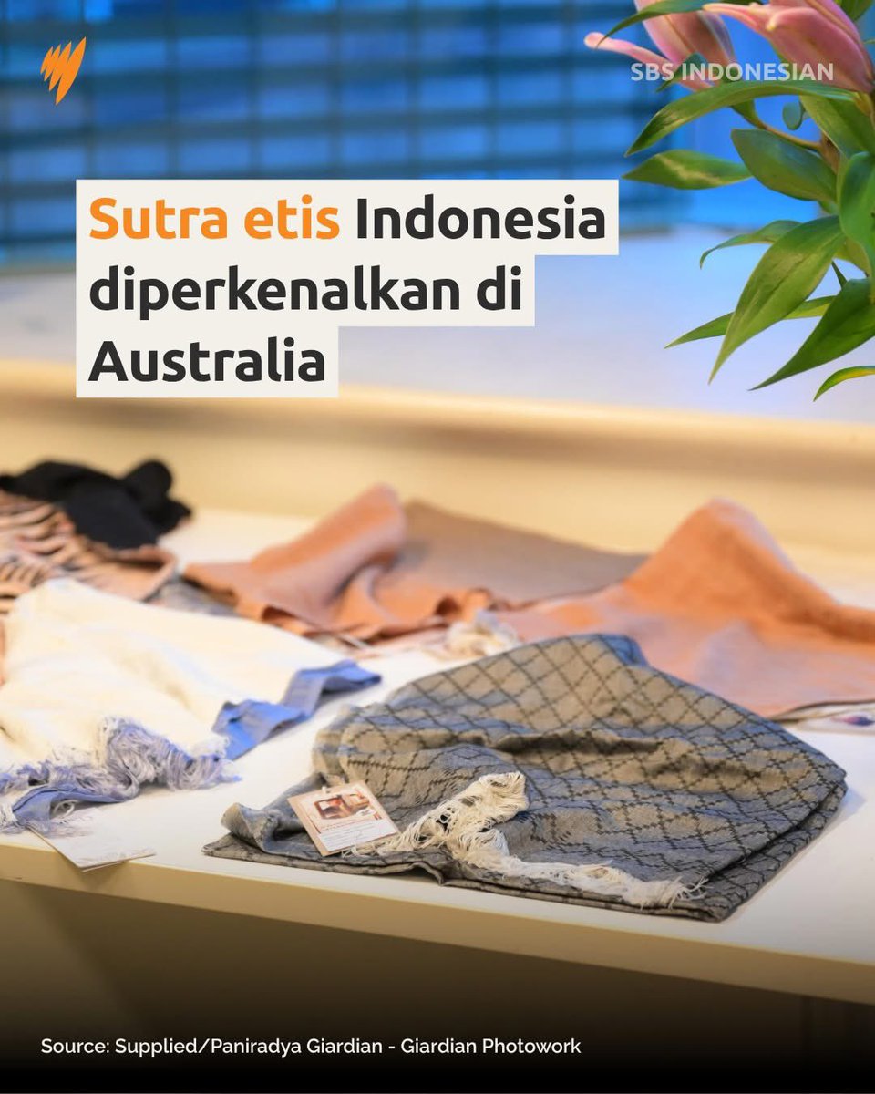 DakotaGeorgy's tweet photo. Memperkenalkan #peacesilk (sutra eri) dan botanical batik dari daerah Jawa Timur, Janet Teowarang ingin menyorot inovasi dalam dunia fashion berkelanjutan yang ada di Indonesia, yang tidak banyak diketahui oleh pasar mode Australia. 👉 https://t.co/6yjtCpO0qH
#SBSIndonesian https://t.co/DCqBktE0un
