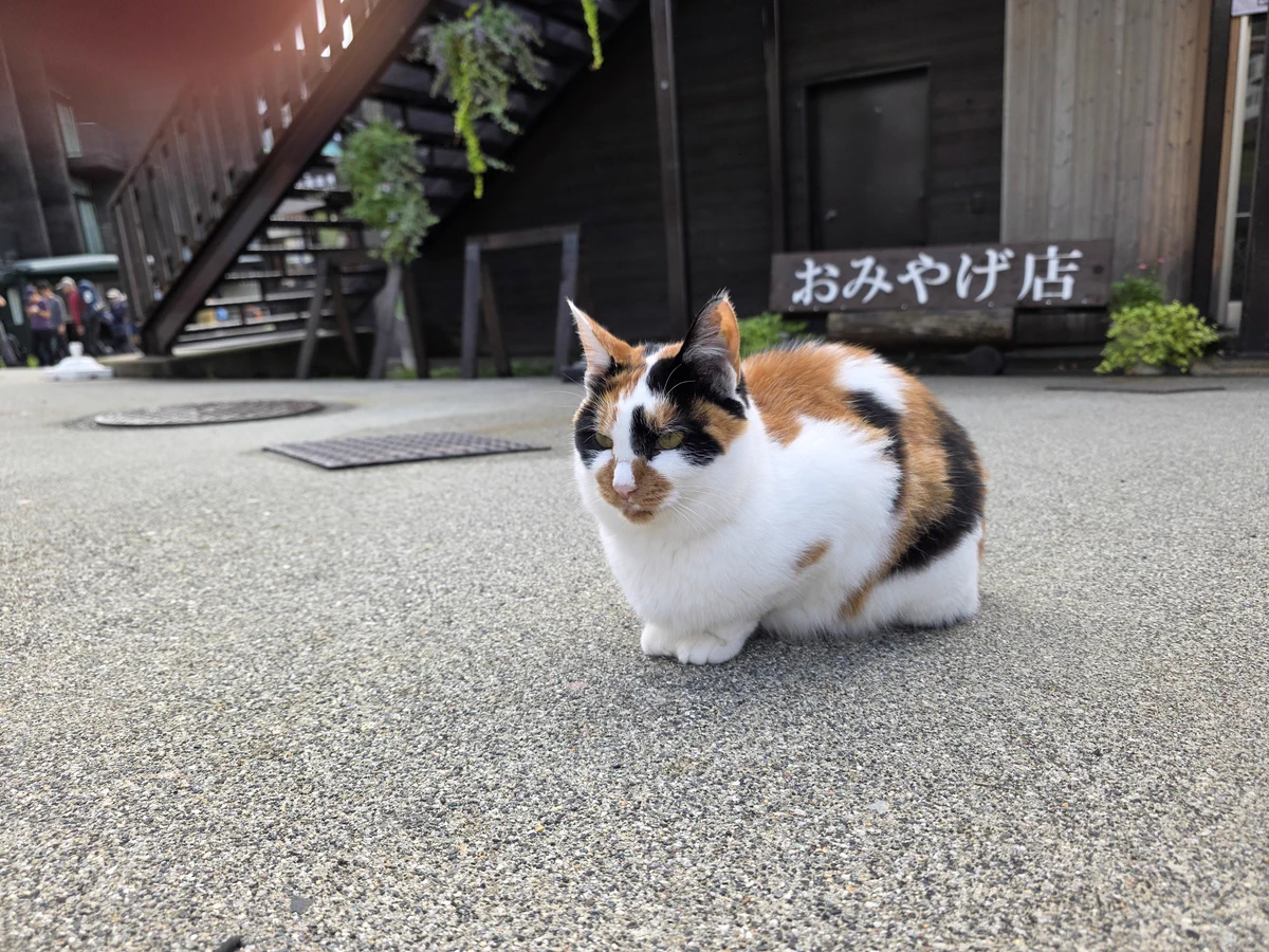 あるぷす on X: 