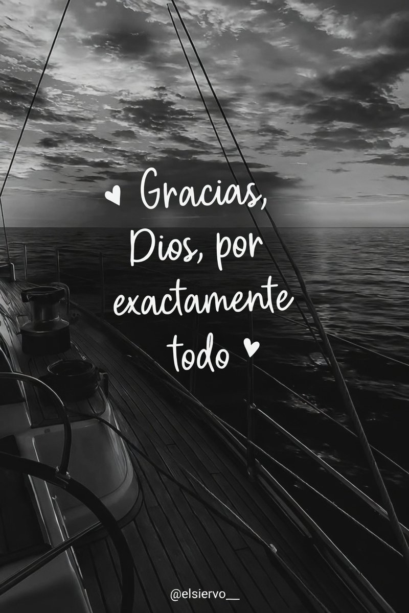 elsiervo__ tweet picture