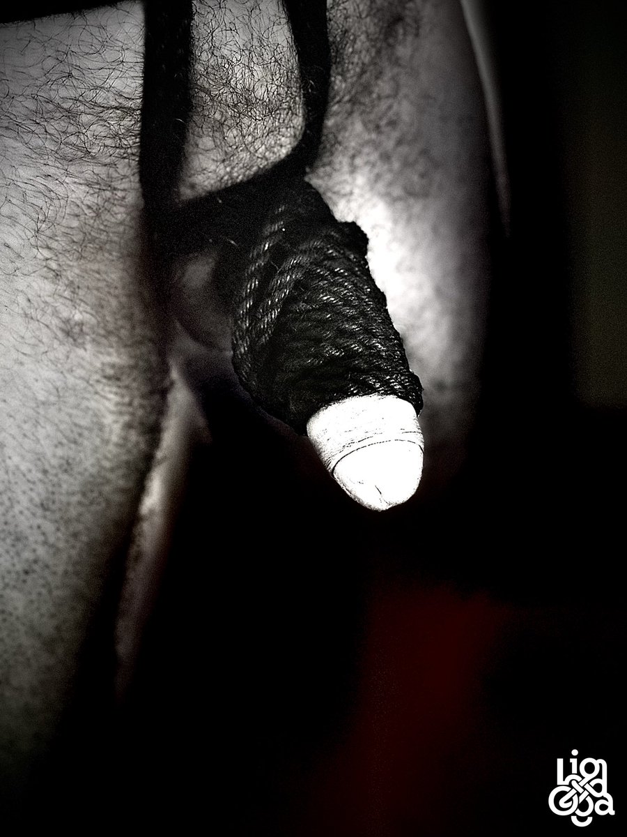 ShibariDadd's tweet photo. #shibari #shibaritwink #gayshibari #tiedup #twin #shibarimen #menchest #fetish #tits #hemprope #blackandwhite #blackandwhitephotography #shibariman #shibarigay #gayropes #gays #bondage #cordes #naturalrope #puppy #pup #shibariduo #shibariphoto #shibariphotograph https://t.co/4WqWayRqks