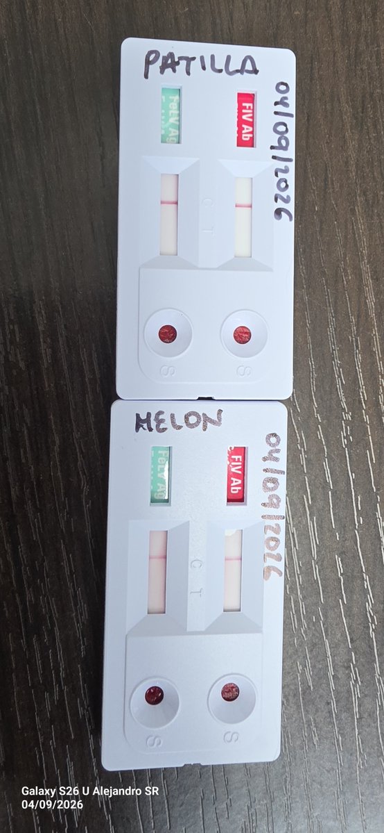 Sanalejo73's tweet photo. 🧑‍🚀🥰🥰🧘 https://t.co/7rjx9tXYFR