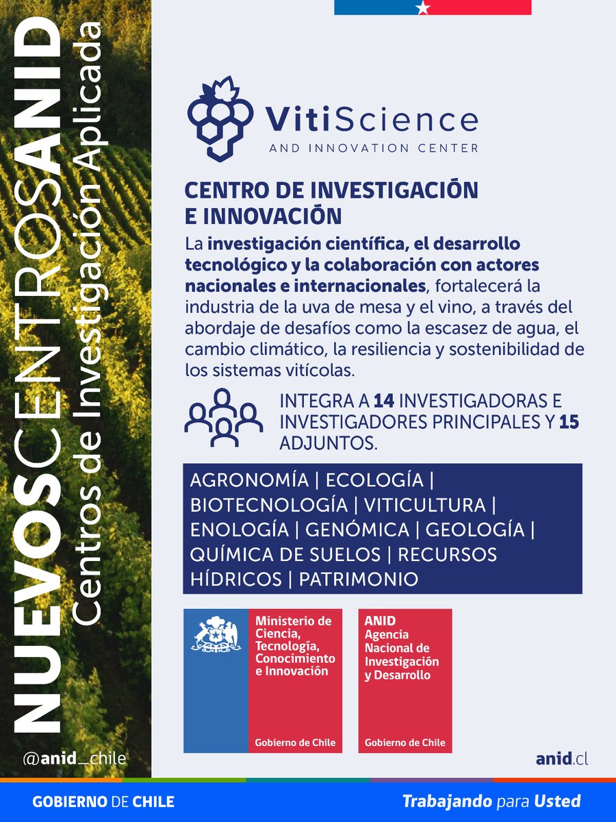 ANID_Chile's tweet photo. Frente a desafíos como el cambio climático, la escasez hídrica y las crecientes exigencias de los mercados internacionales, el Centro ANID de Investigación e Innovación VitiScience busca desarrollar ciencia, tecnología e innovación para fortalecer la sostenibilidad y competitividad del sector vitivinícola nacional.