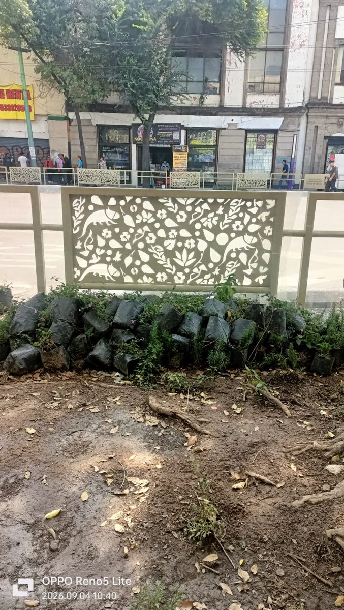 ClaimedWolf's tweet photo. @GobCDMX @ClaraBrugadaM de quién es la responsabilidad? Aventar plantas para que se mueran en vez de plantarlas. Esto es sobre Eje Central y ya llevan más de 4 días así. Es dinero a la basura. https://t.co/bUJp476VI7