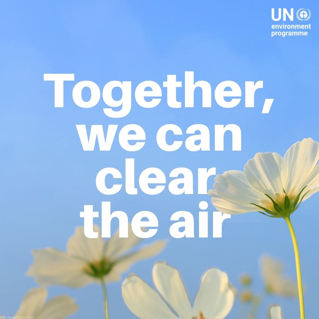 UN's tweet photo. Who can help deliver cleaner air?

✔️ Governments
✔️ Cities
✔️ Businesses
✔️ Investors
✔️ International organizations
✔️ You

Everyone has a role. This #CleanAirDay, see what’s yours:
https://t.co/iOfS9imf5s https://t.co/aRMlxoswQH