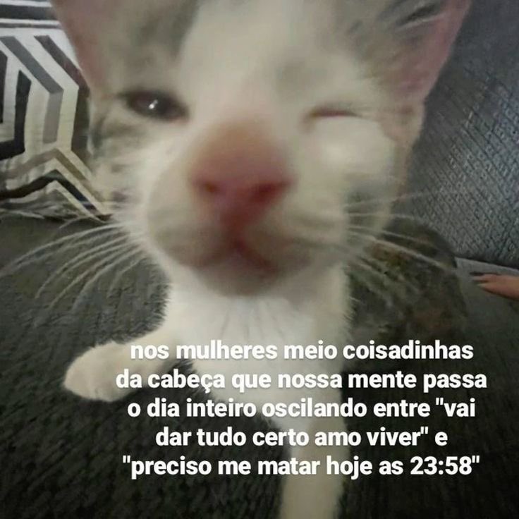 TweekAnulavel's tweet photo. https://t.co/x9UF84fFho