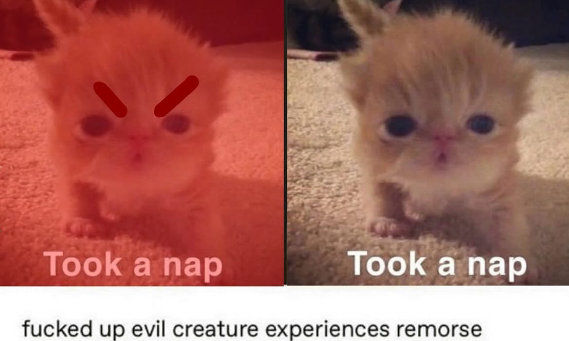 PunchingCat's tweet photo. https://t.co/5SNaAg24lf