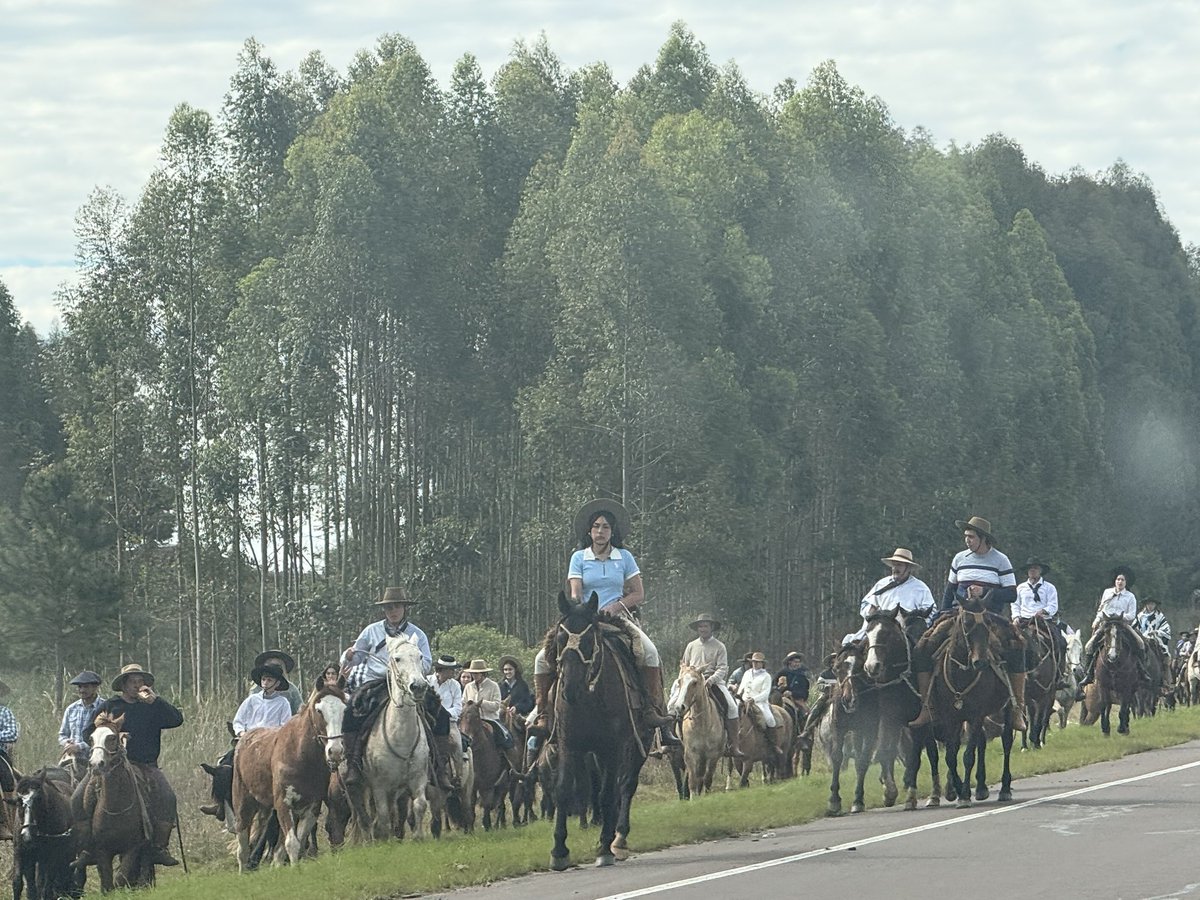 cdcamy's tweet photo. Con rumbo norte. Por la ruta 5, comenzamos a cruzarnos a cientos de paisanos, a lomo de caballo, con quienes nos encontraremos el
domingo en las cuchillas de Masoller, para honrar la memoria de Aparicio Saravia.
“La Patria es la dignidad arriba y el regocijo abajo”. https://t.co/cIGlq1KOSH