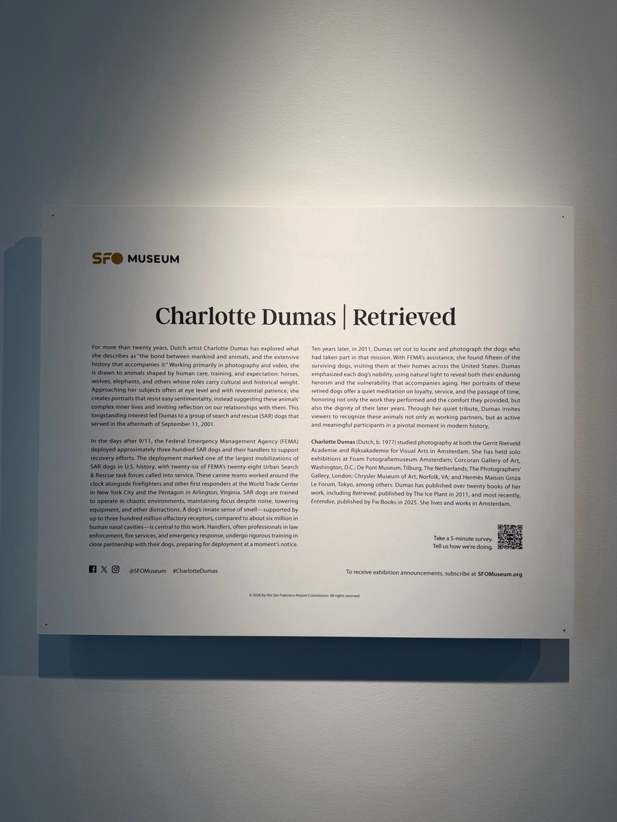 ad0rnai's tweet photo. sobbing at the 9/11 search and rescue dogs photography exhibit at sfo https://t.co/KMqxM4AGAR