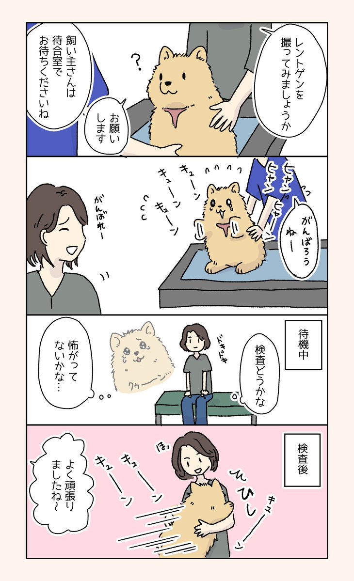 sud_lapin2987's tweet photo. 世渡り上手の話（1/2） #動物病院の待合室で見られる光景 https://t.co/QSrFBGIHPV
