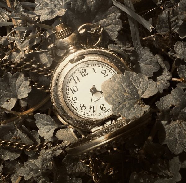 Elias_Flavius's tweet photo. 🕰️ - "Don't worry... I've got all the time in the world."
⏳• Better three hours too soon than a minute late.
#reverse1999oc #reverse1999rp https://t.co/l5MVifcrxG