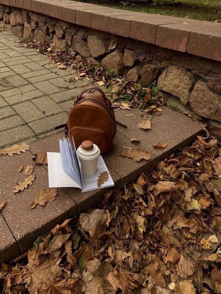 talya9646171863's tweet photo. 18 days until autumn 🍁☕🌧️ https://t.co/W2vPPXoJPX