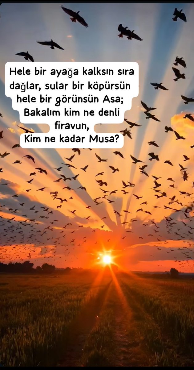 Zhr_11_'s tweet photo. Şimdilik susalım...
Zaman, herkesin yaptığını önüne koyar elbet.... https://t.co/PKyle2zfA9