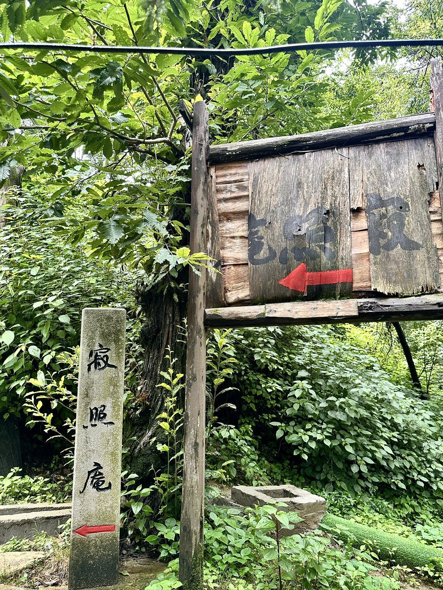 tdsttttt's tweet photo. 云南你呆着别动，我还会再去的 https://t.co/zg0ECkw41e