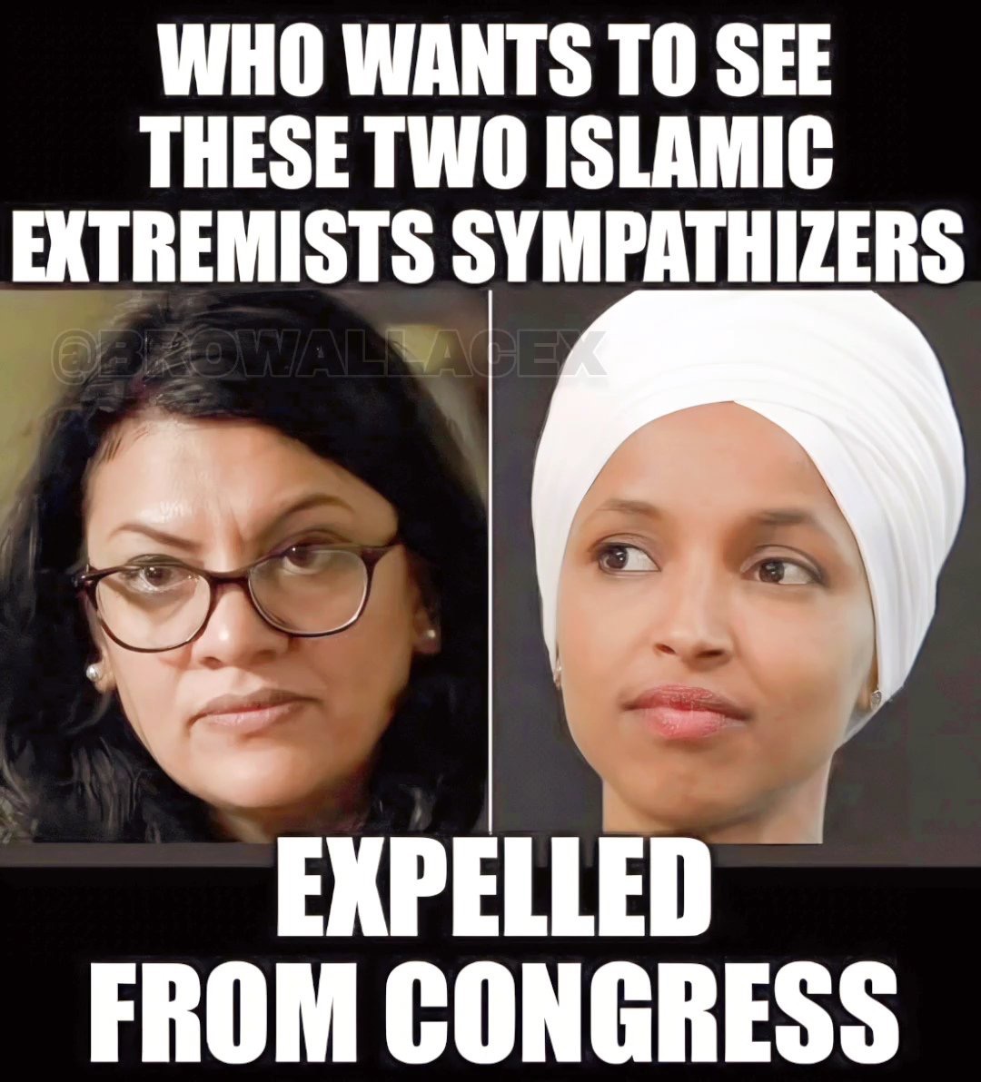 PeriklesGREAT's tweet photo. Expel Rashida Tlaib &amp; Ilhan Omar from Congress?

A. Hell Yes
B. No 
C. also Deport Omar for her many crimes? https://t.co/7VzWJo6xmh