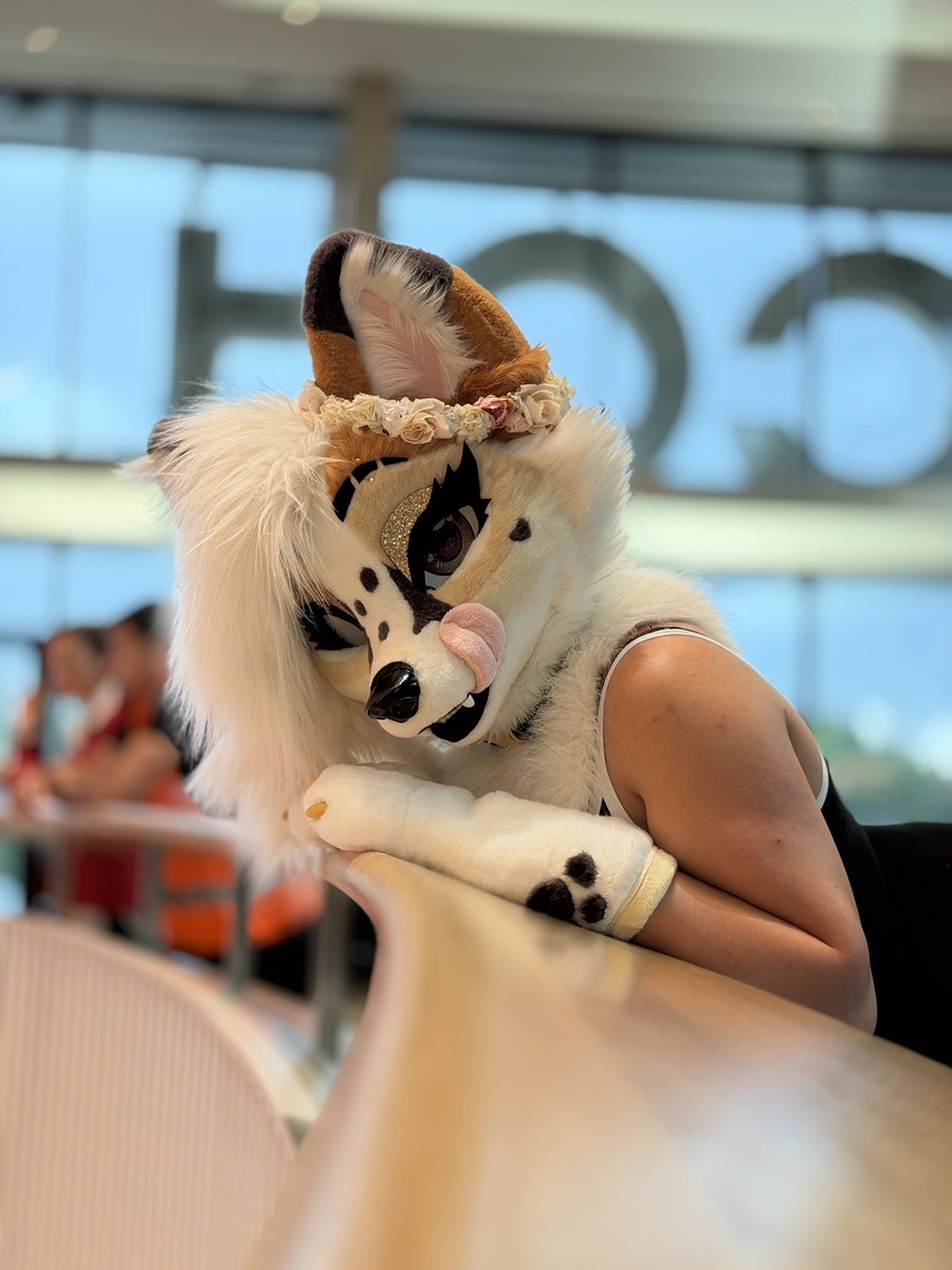 LunariFox's tweet photo. Happy fursuit Friday cuties!

🪡 @Glitzy_Fox 
📸 @Jekyllfoxx https://t.co/n7jJsgE6jA