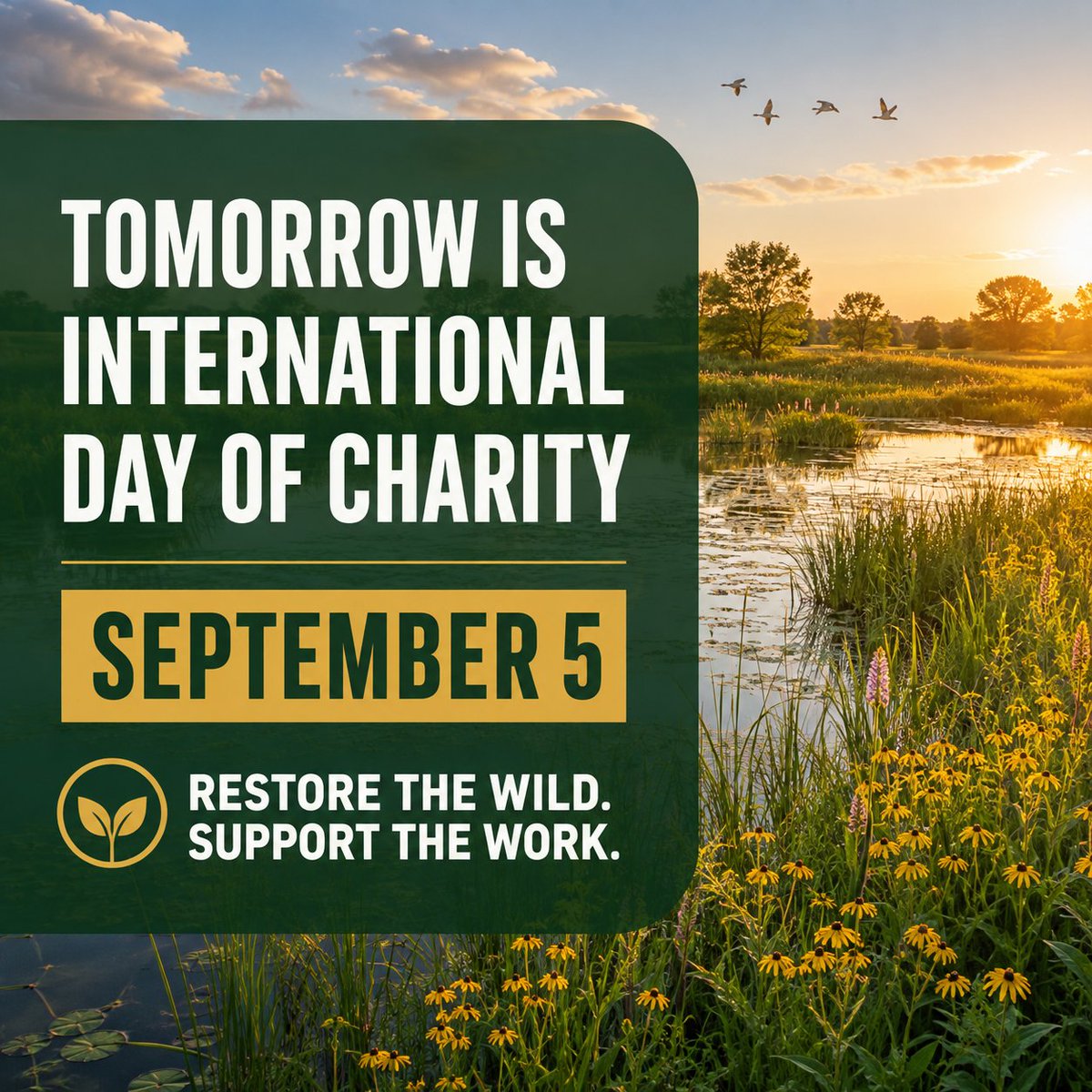 wildlifeparksu's tweet photo. Tomorrow, September 5, is International Day of Charity. Help Wildlife Parks Unlimited restore habitat, grow conservation programs, and protect the wild for all life. Donate today: https://t.co/ddzn9gmXGS #InternationalDayOfCharity #WildlifeParksUnlimited https://t.co/i2gSLDj1DB