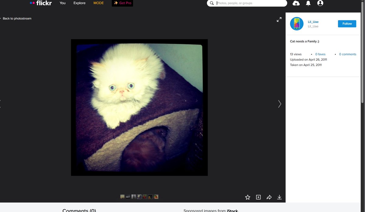 CassRH_'s tweet photo. The original cashcat, a pet cat belonging to @vladtenev in 2011

in 2017,

@vladtenev wrote a book named "Algorithm of Ambition The Vlad Tenev Journey: Democratizing Markets, Shaping Technology"
https://t.co/AuowyxIA5U

This book goes over his life and achievements but importantly his childhood where he mentions a white cat helping him calm his nerves

I did a deep dive into childhood and came across a woman named "Lil_Uae" on flickr who vlad follows and it turns out this woman is his 3rd cousin who also went MIT with him
https://t.co/nZ2E6LayiI,

In the book, chapter 5, vlad talks about a cat his cousin gave him in 2011 named "cass" who had big green eyes which glowed in the dark,
https://t.co/JYYnu0avOc

Vlad then talks about cass's eyes used to remind him of dollar signs like it was cash thus becoming the cashcat meme he wanted to name robinhood after

We have even more evidence on our website.
https://t.co/bviv9pWC2W