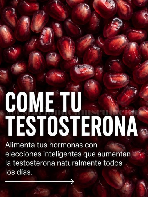 RiqProposito's tweet photo. COME TU TESTOSTERONA

Alimenta tus hormonas con elecciones inteligentes que aumentan la testosterona naturalmente todos los días:🧵 https://t.co/aLE17EDCKM