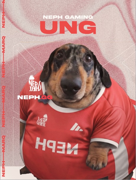 Nephgg_gaming's tweet photo. UNG
@Ungggnh 
Iniciador · Duelista

Hay una pregunta que aparece siempre al ver a un jugador con tanto poder de fuego: cómo se mantiene la calma absoluta para ser el pilar mental del equipo y liderar en los momentos más difíciles.

Ung no se quiebra. Te levanta. El buen ritmo es suyo, la voz de mando cuando el equipo más lo necesita es suya y la geometría perfecta con Sova también. Y cuando llega el momento de castigar al rival, pone su firepower sobre la mesa y no falla una sola flecha ni estropea una definitiv🏹

Tener un aim letal en alguien que a la vez es el soporte anímico y un gran amigo dentro del servidor es de las cosas más raras que hay en este juego. Nosotros lo tenemos.

5 de 6. 🔴

#NephGaming #VALORANT