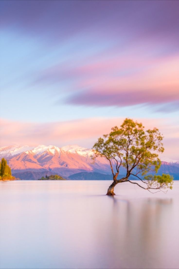 onllycutestuff's tweet photo. Wanaka, New Zealand https://t.co/mNak8t5Evm