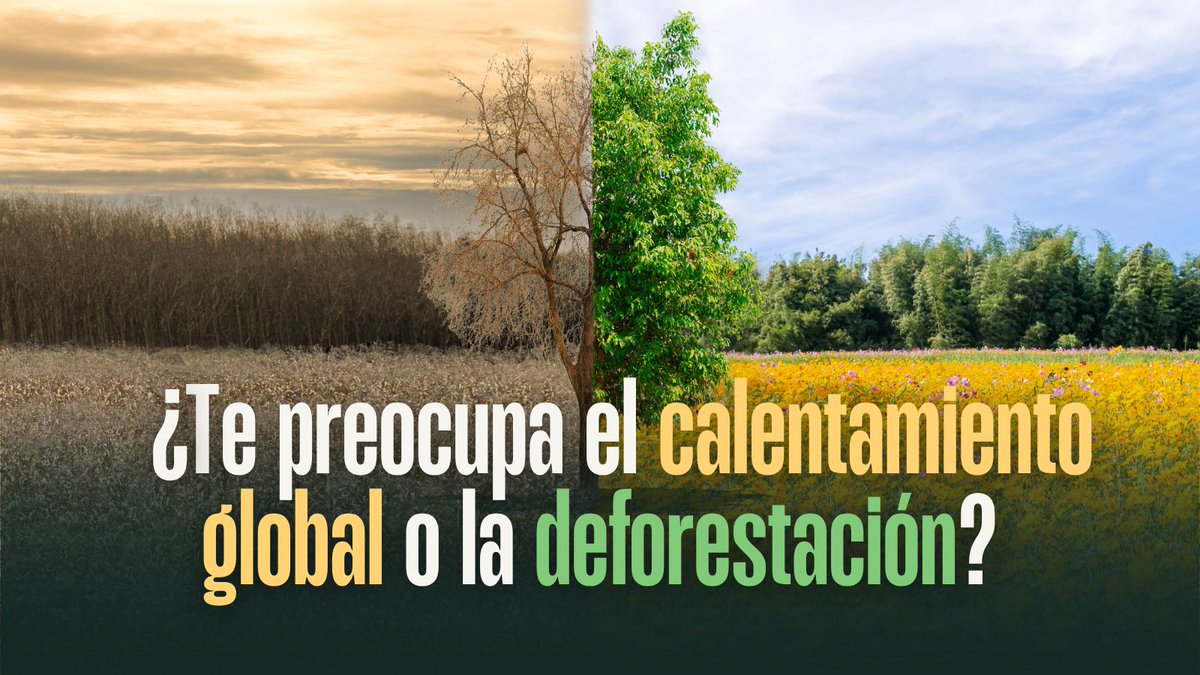 AsocArba's tweet photo. La crisis climática es indignante, pero casi nunca pensamos en dónde empieza. La ganadería es la causa principal de tala de bosques y emisiones masivas de metano.

¿La solución más cercana? No está en la política, sino en lo que elegimos comer. El veganismo se puede convertir en la acción climática de todos los días.