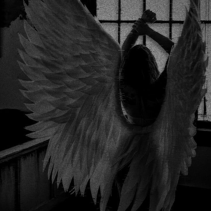SassySiren79132's tweet photo. Good evening 🖤 https://t.co/q0bBwxT432