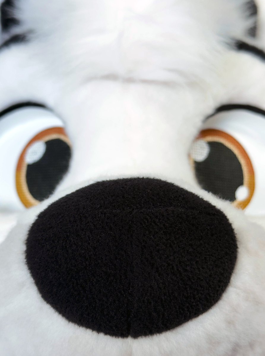 kesufox tweet picture