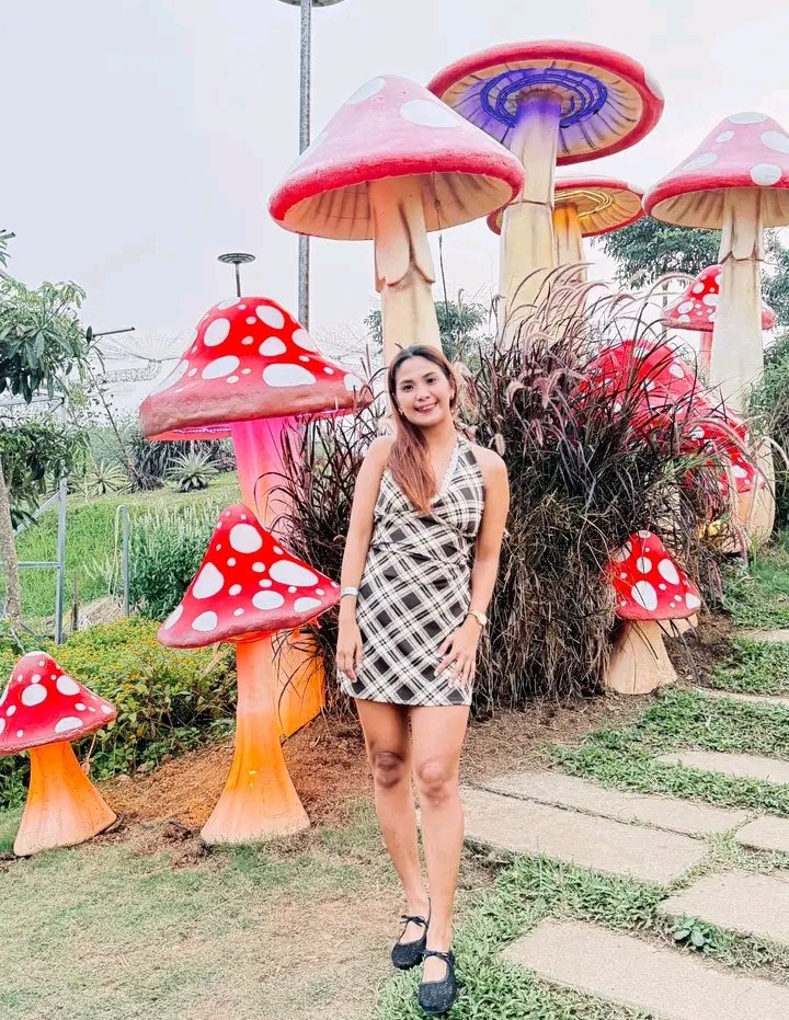 Miriammark134's tweet photo. Felt like I walked into a fairytale for a minute. 🍄
#FairytaleVibes #MushroomGarden https://t.co/PrjOlFwPGp