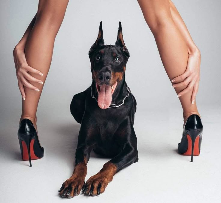 emilyyforvever's tweet photo. wuff lover❤️✨️🐾
https://t.co/5FWma5diJU 
#K9Girl #KnottySlut #Bestiality #ZooKink #DogKnot #BreedingKink #Creampie #AnalZoo #K9Content #Google #YouTube #Zoophilia #Canada #usa #trending https://t.co/2s5HeJhWkH