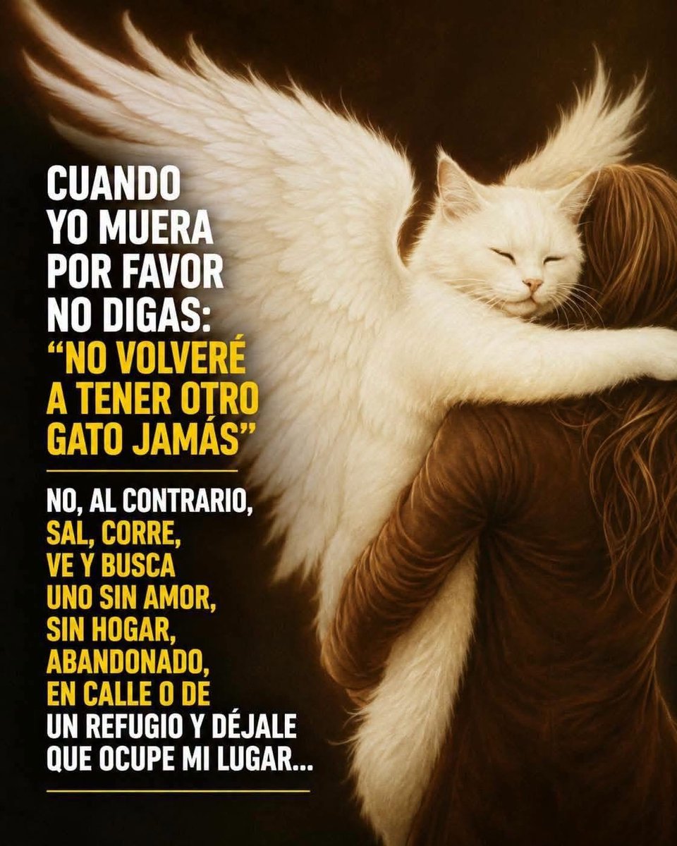 ManuSaenzVolvio's tweet photo. 🥺 https://t.co/JXdMYnW7g8