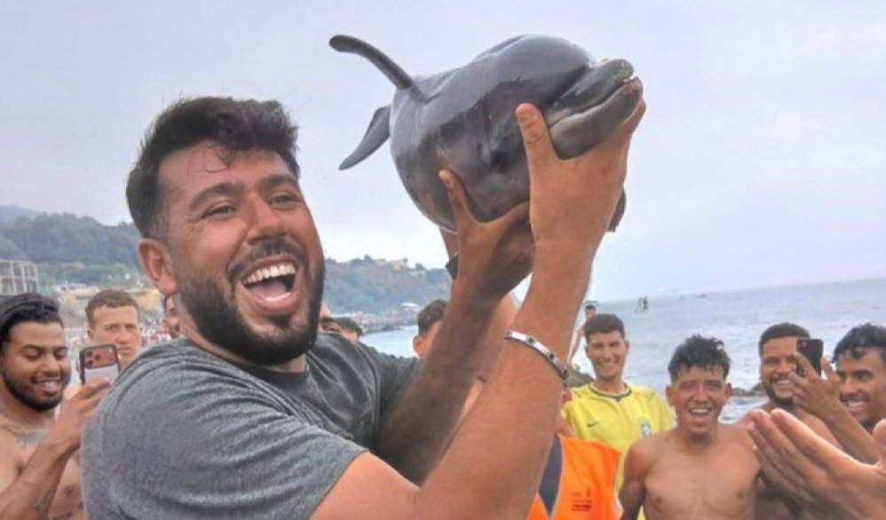 CanarioToday's tweet photo. La "sanción" para este "pescador" de especies protegidas, será la de enviarlo a un hotel en la península costeado con dinero público. 

Para él y para los que se alegran de la captura. 

Así es la política del PSOE. https://t.co/P1NxS7KV9O