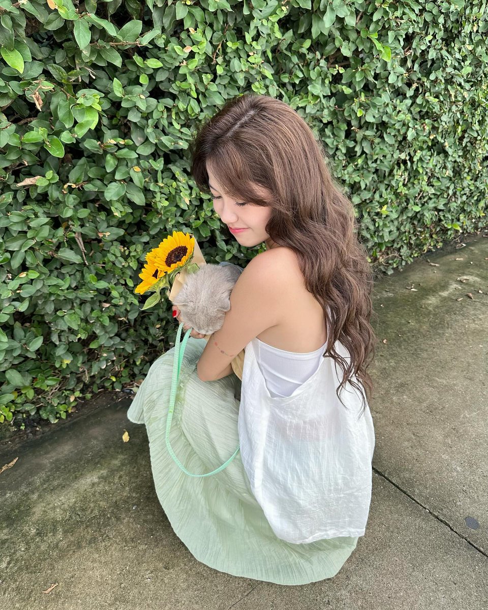_Cestarii's tweet photo. 朝起きるのは得意？それとも夜更かしが得意？ 🎶🐶
lOrop https://t.co/ZW9B6QJSgW