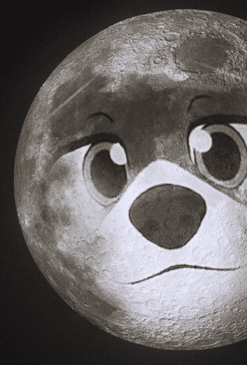 norfdog's tweet photo. Friday stream!!!!!!!!!

It’s me your favorite moon

https://t.co/CFgddkQCti https://t.co/OYagxomyrZ