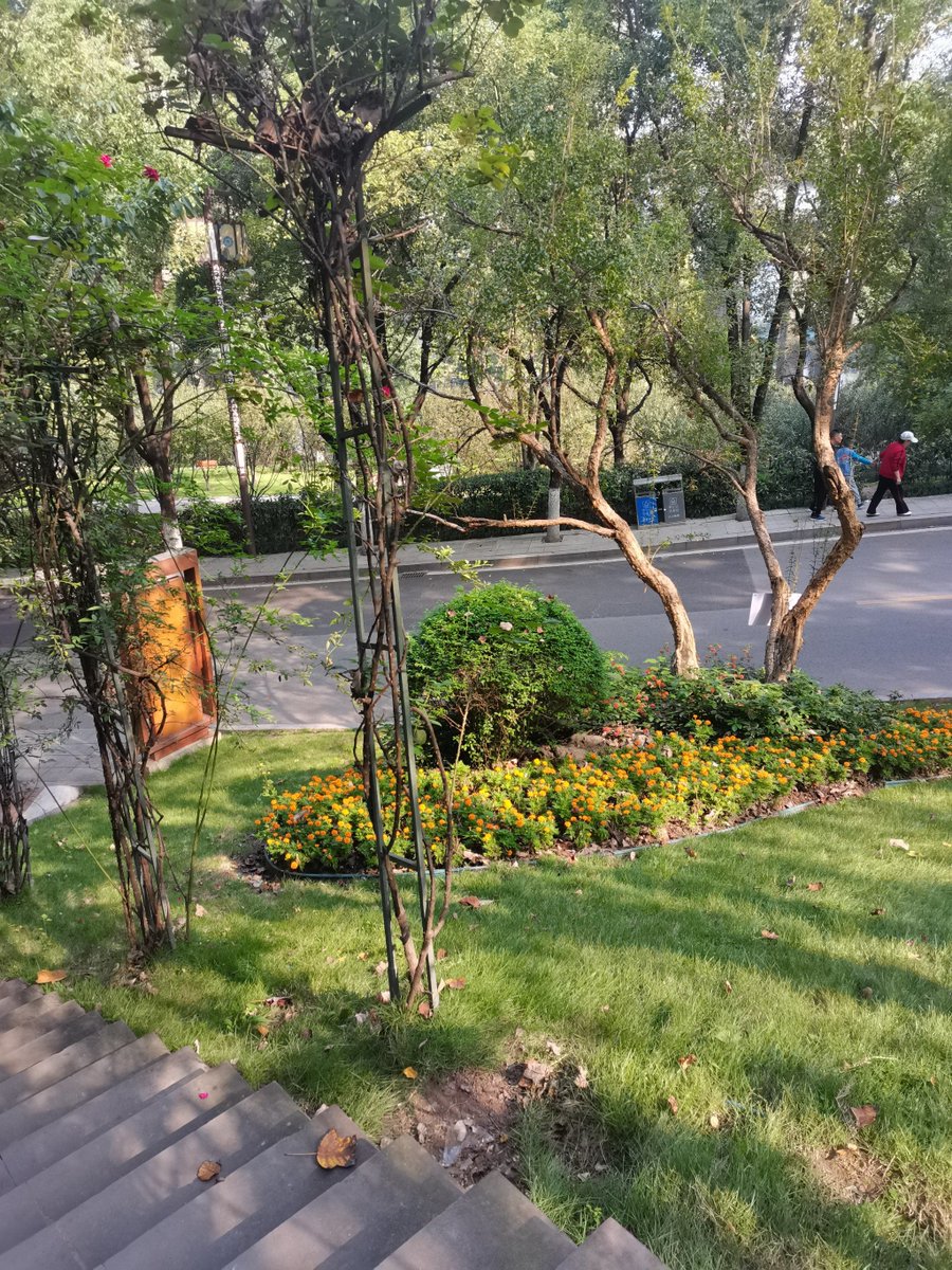 SwapnilPaunika2's tweet photo. Just finished a solo walk at sunset, and this quiet breeze + golden sky suddenly melted all the daily fuss—feeling so light and calm right now. https://t.co/O4Tz0SUT0O