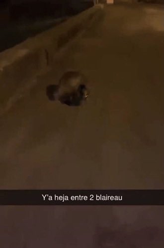 ketchupsantomat's tweet photo. Le niveau d’écriture d’un beef entre les 2 https://t.co/DLDc7mgRQr