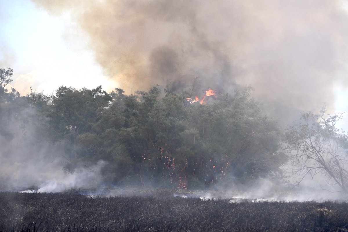NotiJuan's tweet photo. [AHORA] Nuevo fuego consume parte de los terrenos del jardín botánico de la UPR, lado norte. Bomberos y OMME atienden la escena.

Mis respetos a estos servidores públicos. El calor está cañón.  

Fotos para NotiCel https://t.co/k6pCAARmM3