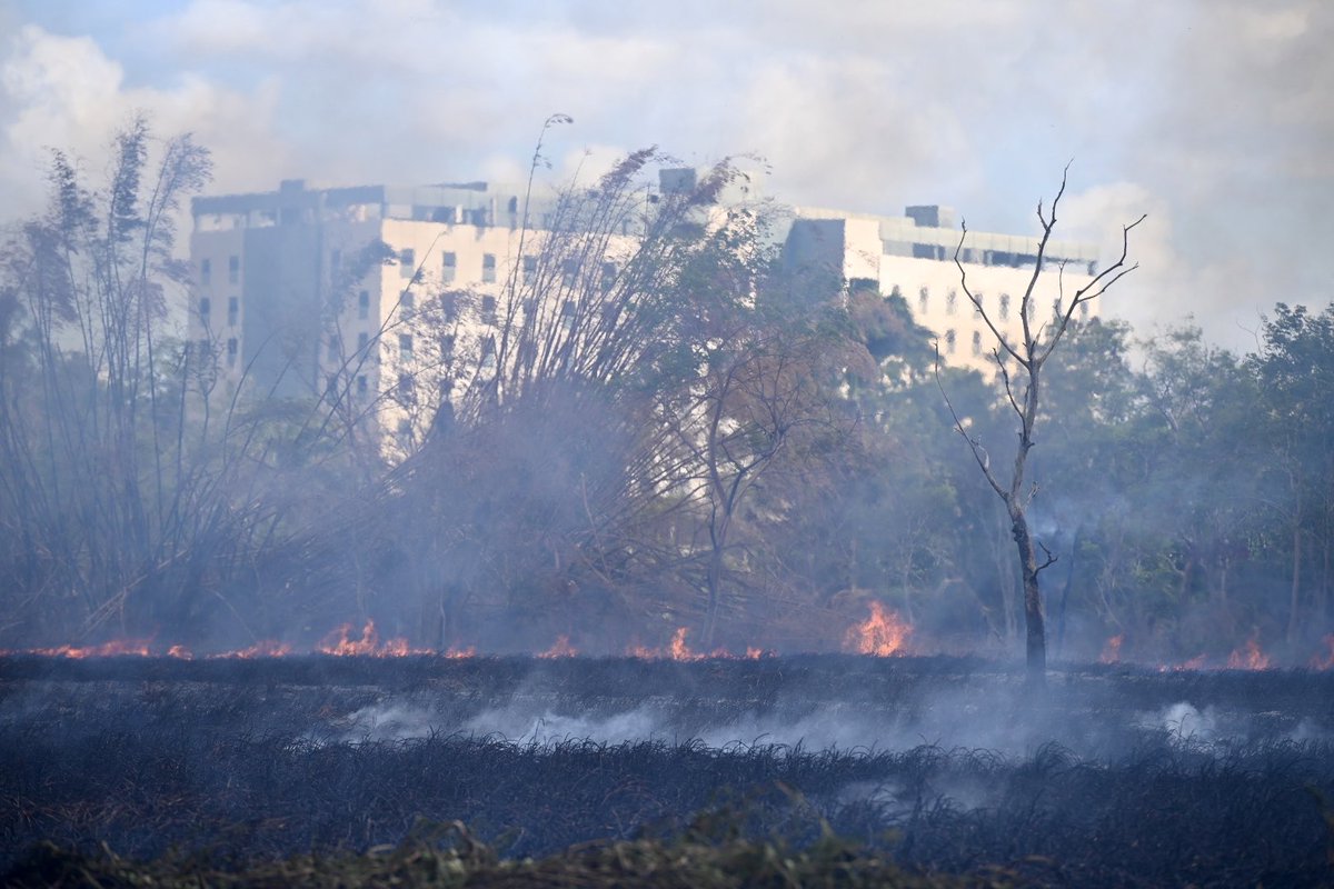 NotiJuan's tweet photo. [AHORA] Nuevo fuego consume parte de los terrenos del jardín botánico de la UPR, lado norte. Bomberos y OMME atienden la escena.

Mis respetos a estos servidores públicos. El calor está cañón.  

Fotos para NotiCel https://t.co/k6pCAARmM3