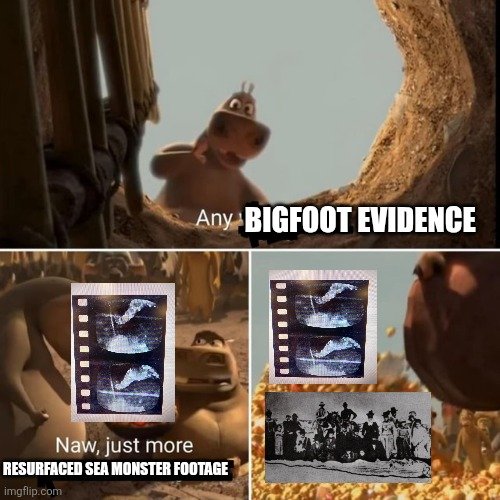 Altithorax1's tweet photo. Not easy to be a cryptid fan https://t.co/TBZZKDj24D