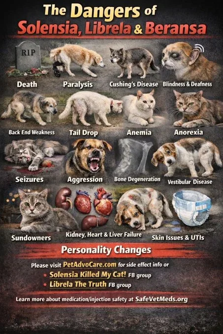 JaniceJame6vjh's tweet photo. Warning, #pets are dying from: #Librela, #Solensia, #Beransa shots; &amp; from pet vaccines, inclu rabies &amp; lepto 4 shots; &amp; from Convenia &amp; Zorbium!

#Vets doing @ home #euthanasia of pets are very busy!:

https://t.co/Evz3fQo4bC

#Meme #Animals #Cats #Dogs #Vet #DVM #DVMs  #Zoetis https://t.co/fB7aPiOSve