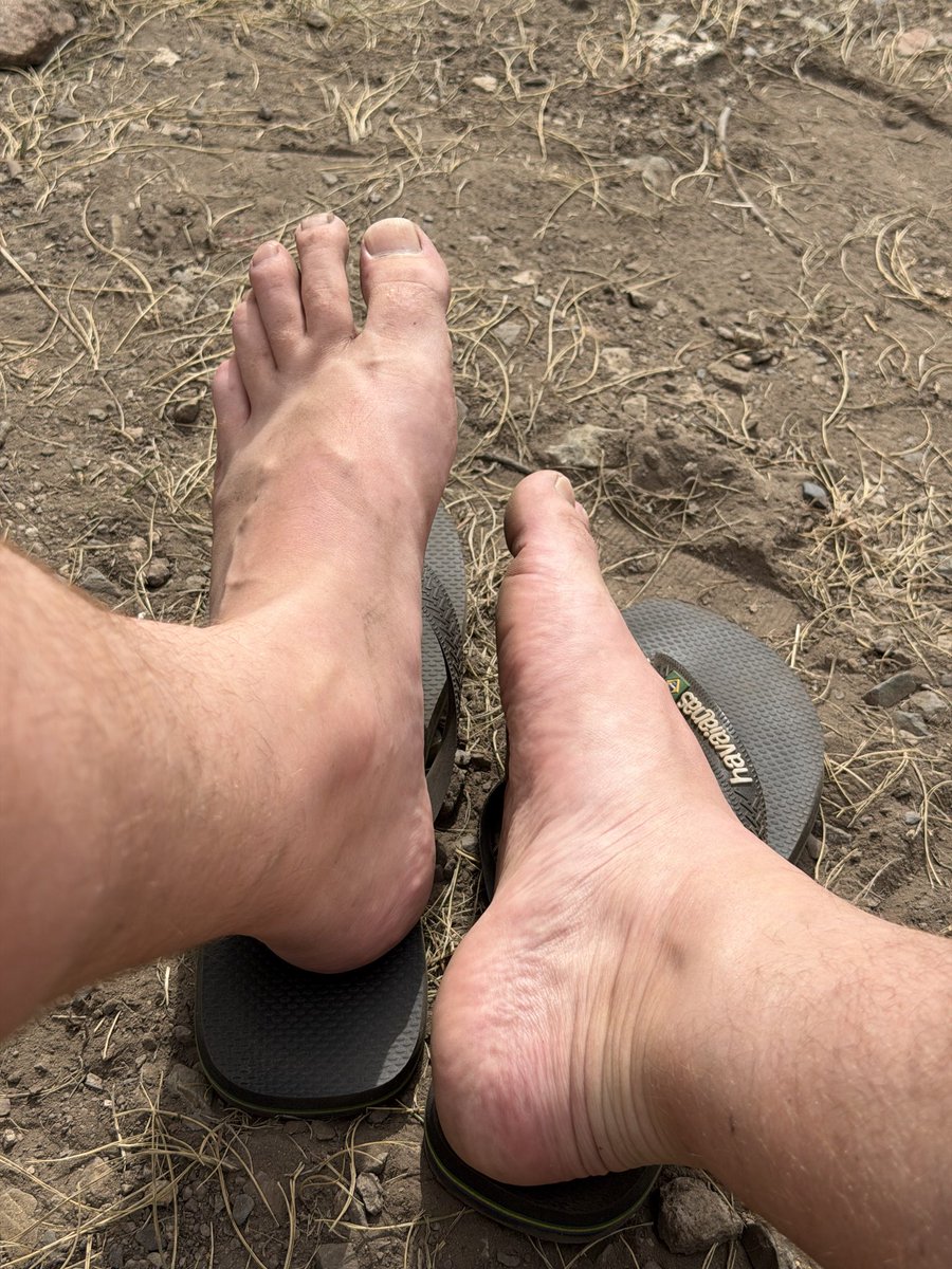 mixterft's tweet photo. Dusty n dry 🏕️ #nosocks https://t.co/4xZWa2wbuI