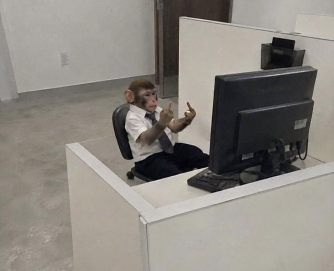 licekjkjkkj's tweet photo. eu agora desligando o pc da empresa #sextou https://t.co/RRMs34aQmd